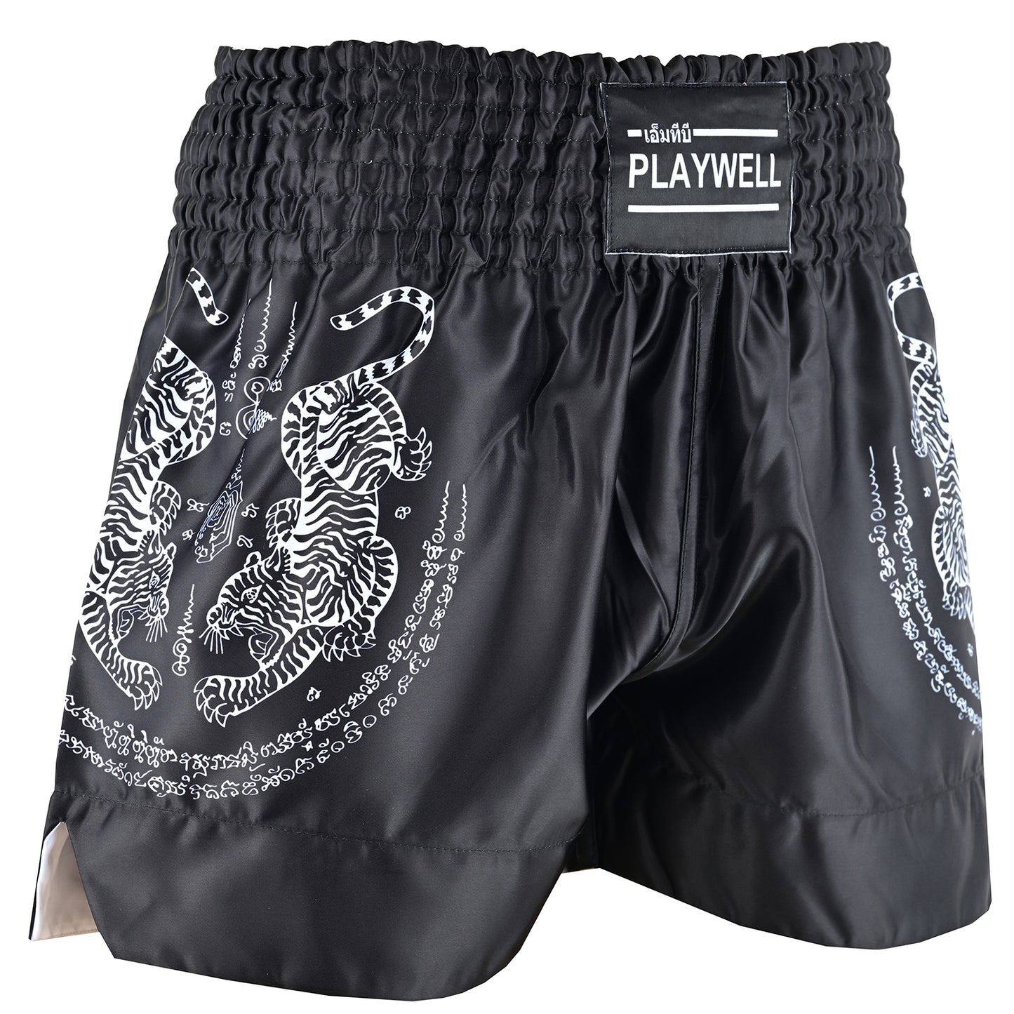 Twin Tigers Muay Thai Boxing Gloves, Shin Pads & Shorts - Black