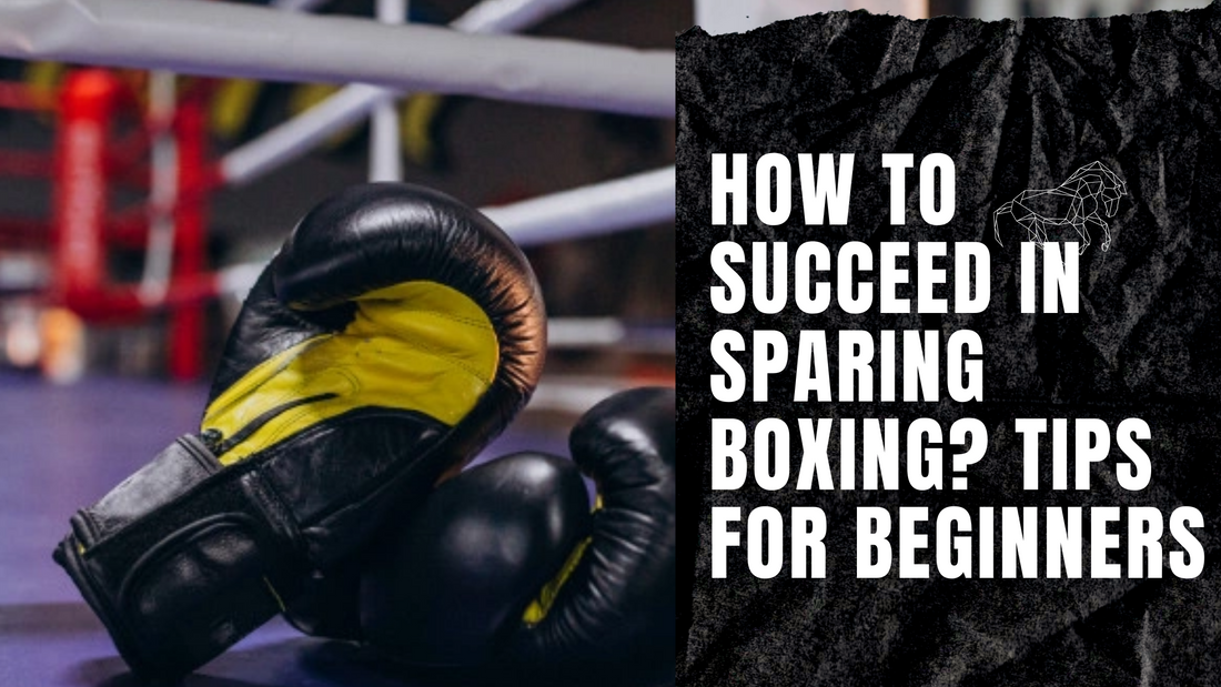 How to succeed in Sparing Boxing? Tips for Beginners