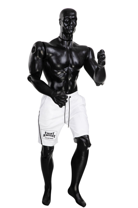 Fight Knight Human Form Striking Partner
