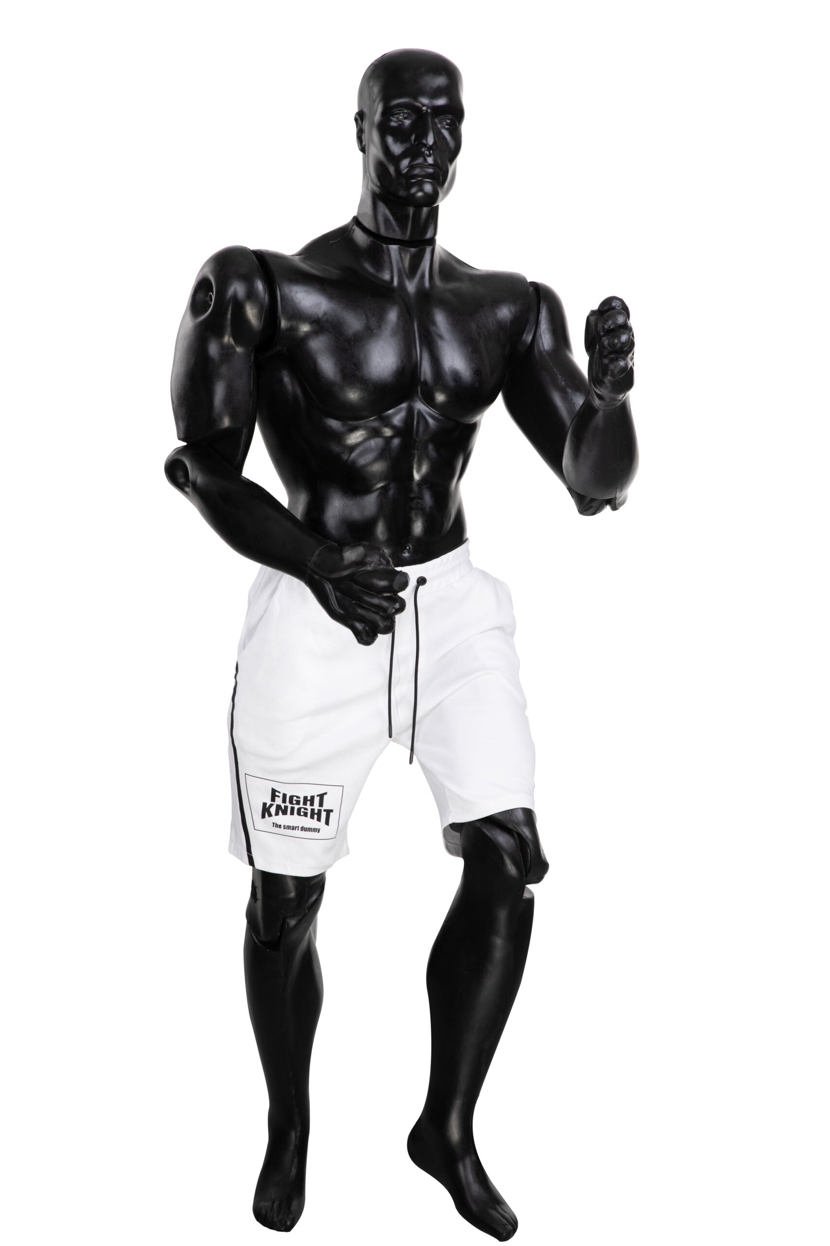 Fight Knight Human Form Striking Partner