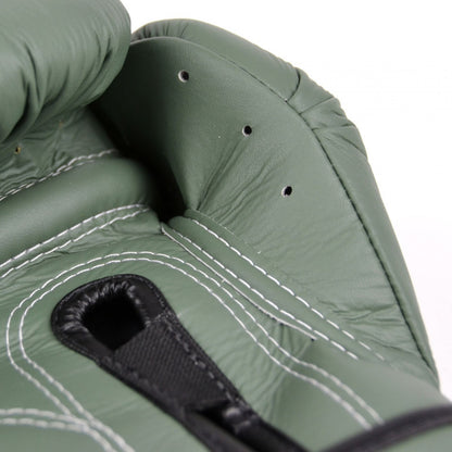 قفازات الملاكمة من الألياف الدقيقة Fairtex BGV11 F Day - أخضر