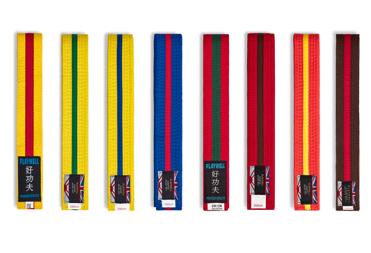 Belts: Black Belt with Coloured Striped