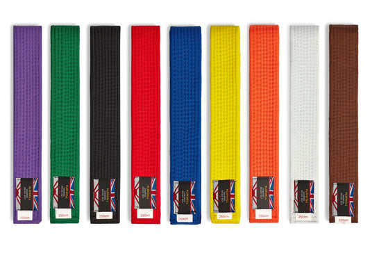 Solid Coloured Belts