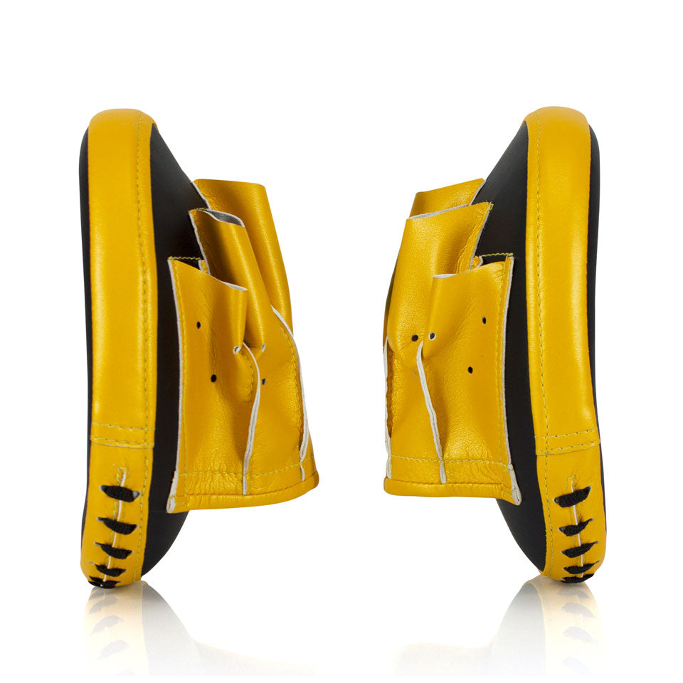Fairtex FMV15 Pro Speed Focus Mitt Pads