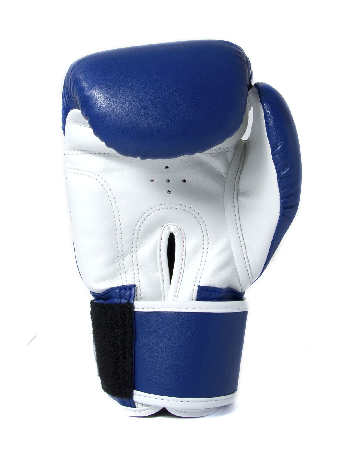 Sandee Sport Muay Thai Boxing Gloves - Blue