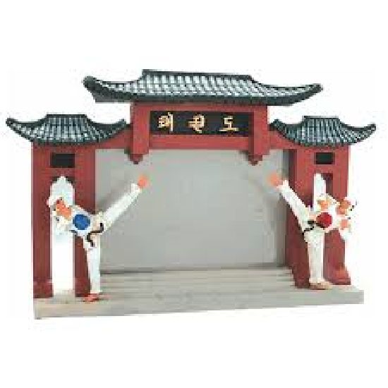 Photo Frame: Resin: Taekwondo