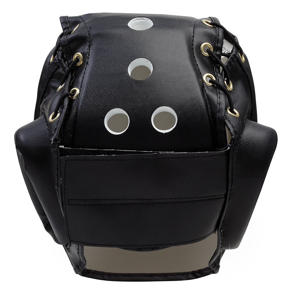 Weapons Headguard with Acrylic Face Mask